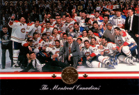 1993-94-Leaf-_100.jpg