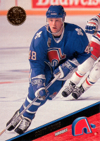 1993-94-Leaf-_108.jpg