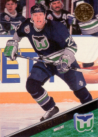1993-94-Leaf-_113.jpg