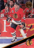1993-94-Leaf-_179.jpg