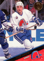 1993-94-Leaf-_207.jpg