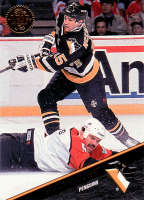 1993-94-Leaf-_217.jpg