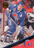 1993-94-Leaf-_23.jpg