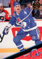 1993-94-Leaf-_291.jpg
