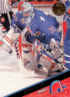1993-94-Leaf-_301.jpg