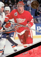 1993-94-Leaf-_303.jpg