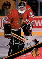 1993-94-Leaf-_319.jpg