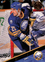 1993-94-Leaf-_360.jpg