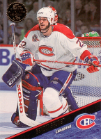 1993-94-Leaf-_363.jpg