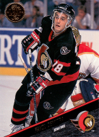 1993-94-Leaf-_366.jpg