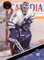1993-94-Leaf-_367.jpg