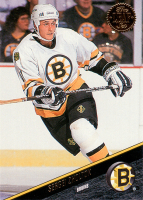 1993-94-Leaf-_376.jpg