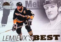 1995-96-Leaf-LB-_10.jpg