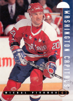 1995-96-Leaf-_162.jpg