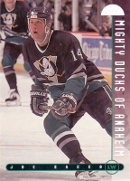 1995-96-Leaf-_164.jpg