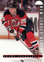 1995-96-Leaf-_234.jpg