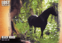 2006-Lost-Season-2-_18.jpg